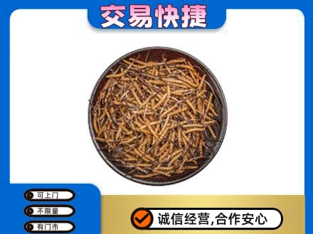沧州河间市礼品回收虫草.jpg